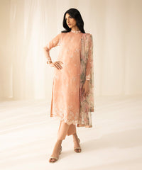 2 Piece - Embroidered Organza Suit