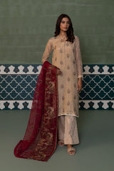 2 Piece - Embroidered Zari Net Suit