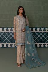 2 Piece - Embroidered Zari Net Suit