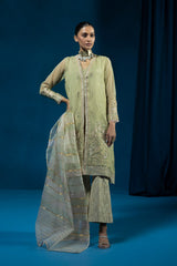 2 Piece - Embroidered Organza Suit