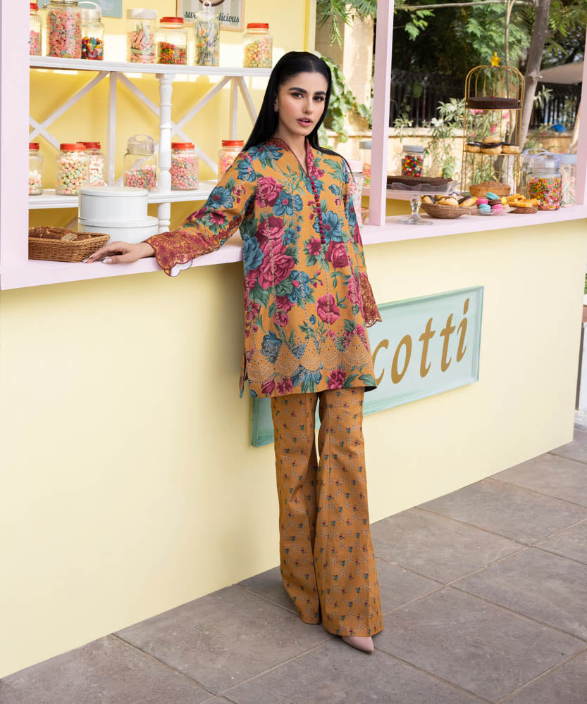 2 Piece - Embroidered Khaddar Suit