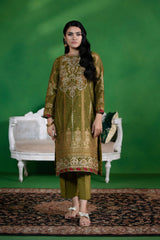 2 Piece - Embroidered Organza Suit